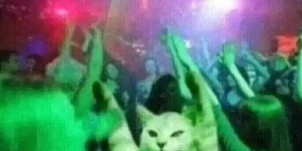 Imagem do grupo de WhatsApp Clube dos solitários