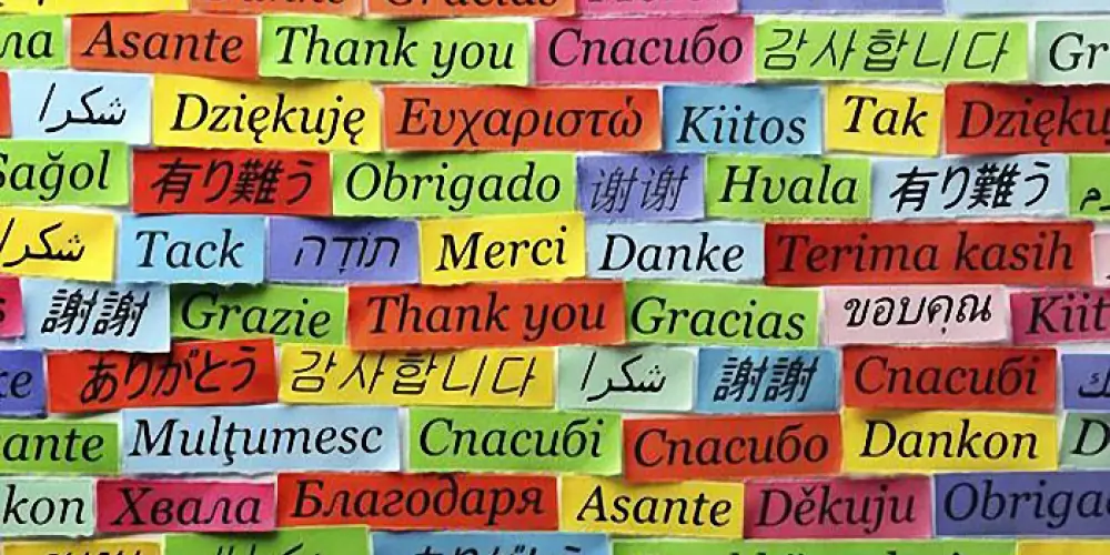 Imagem do grupo de WhatsApp Clube POLIGLOTA