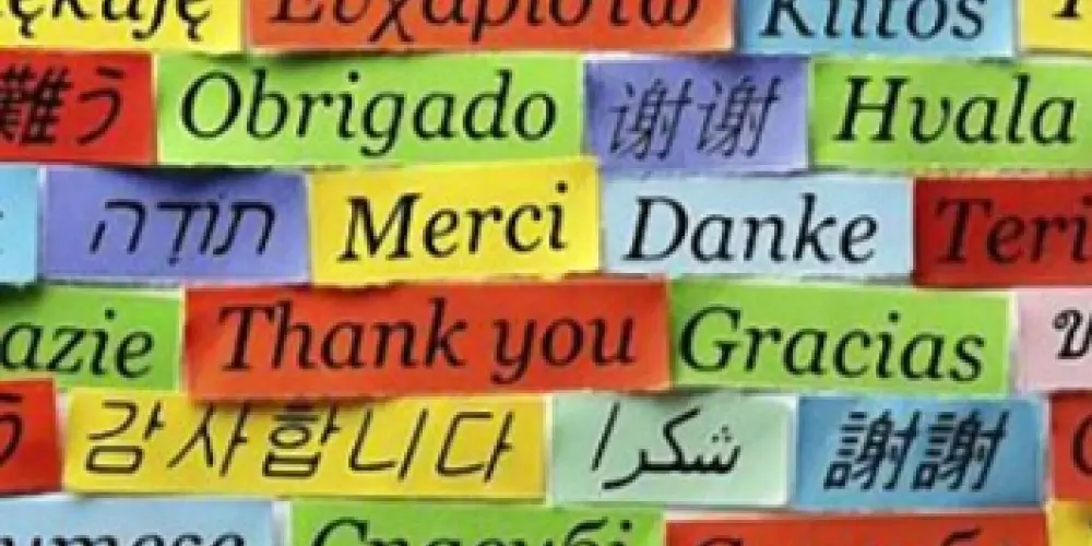 Imagem do grupo de WhatsApp Clube POLIGLOTA 🌐 部活