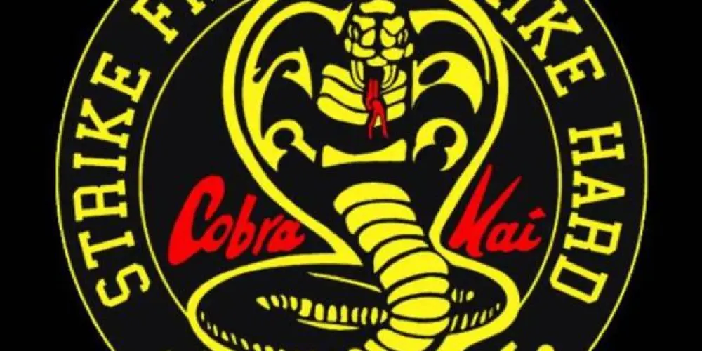 Imagem do grupo de WhatsApp 🐍COBRA KAI🐍