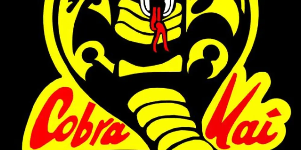 Imagem do grupo de WhatsApp Cobra kai RP