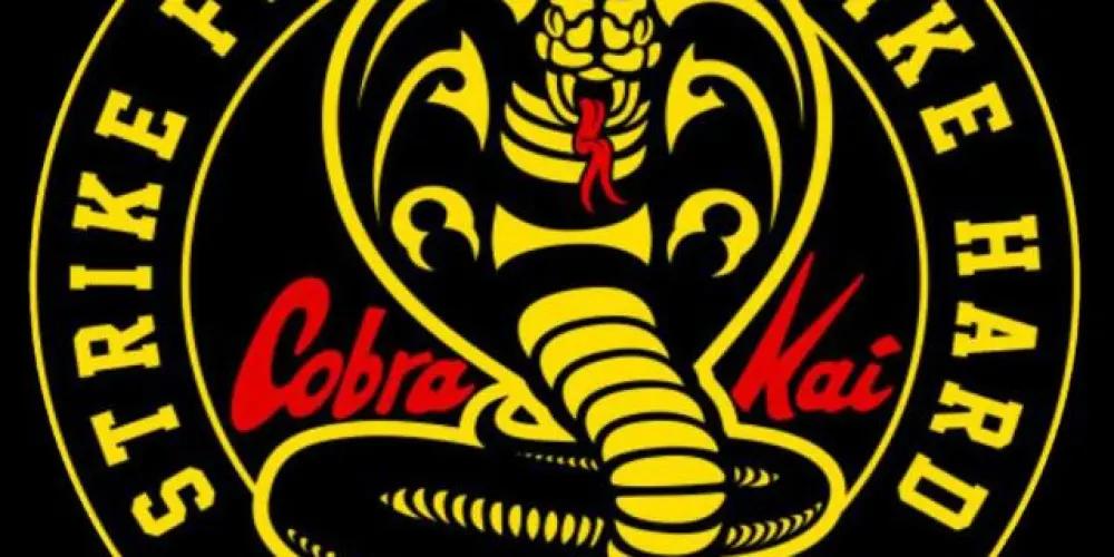 Imagem do grupo de WhatsApp COBRA KAI RP 🐍