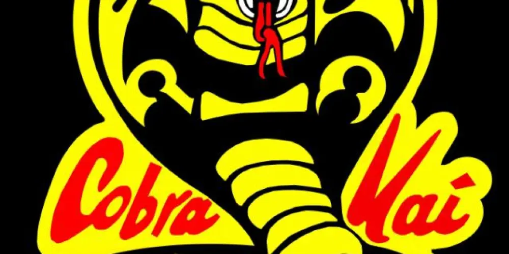 Imagem do grupo de WhatsApp COBRA KAI RPG 🐍