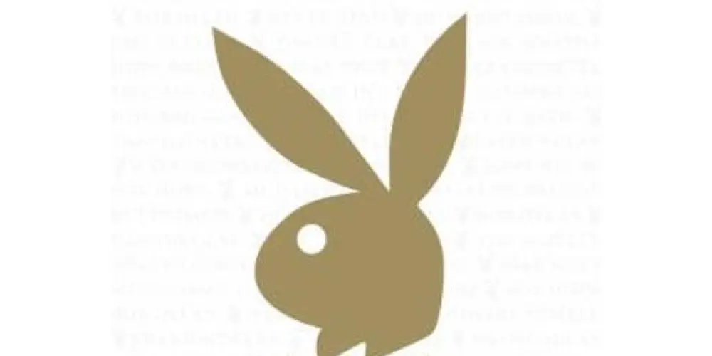 Imagem do grupo de WhatsApp coelhinhas 🔥🐰