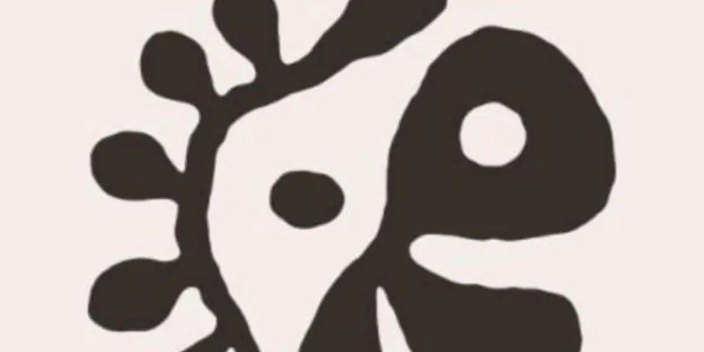 Imagem do grupo de WhatsApp Coer