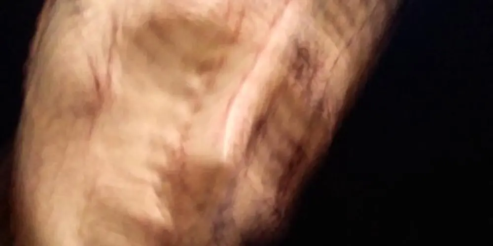 Imagem do grupo de WhatsApp Cofferizitos