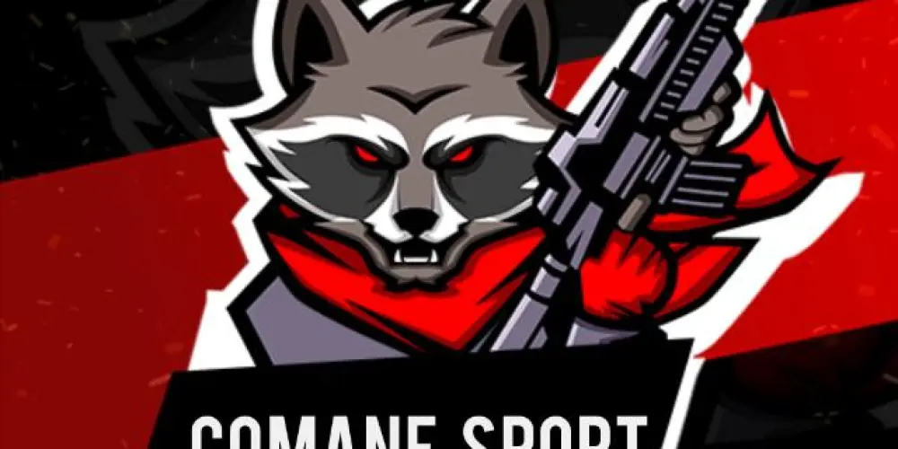 Imagem do grupo de WhatsApp COMANF   E'SPORTS