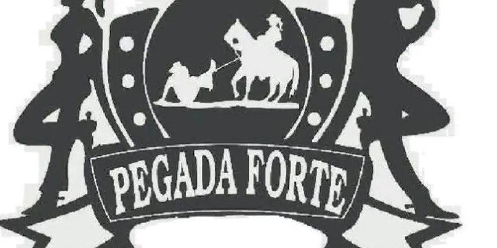 Imagem do grupo de WhatsApp 🔰COMITIVA PEGADA FORTE 🏇🏽🔰