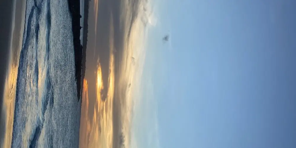 Imagem do grupo de WhatsApp 💯 compaixão