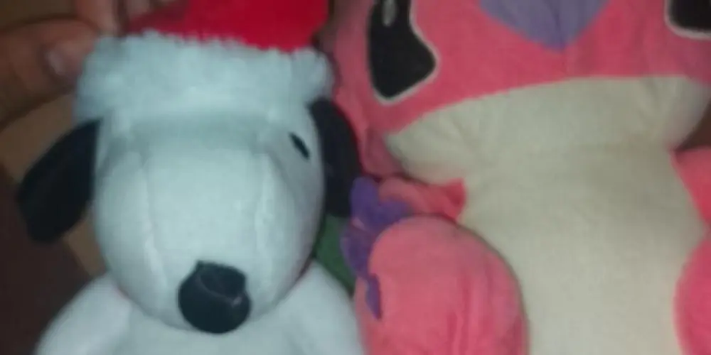 Imagem do grupo de WhatsApp 🌀 COMPLEXO 🌀