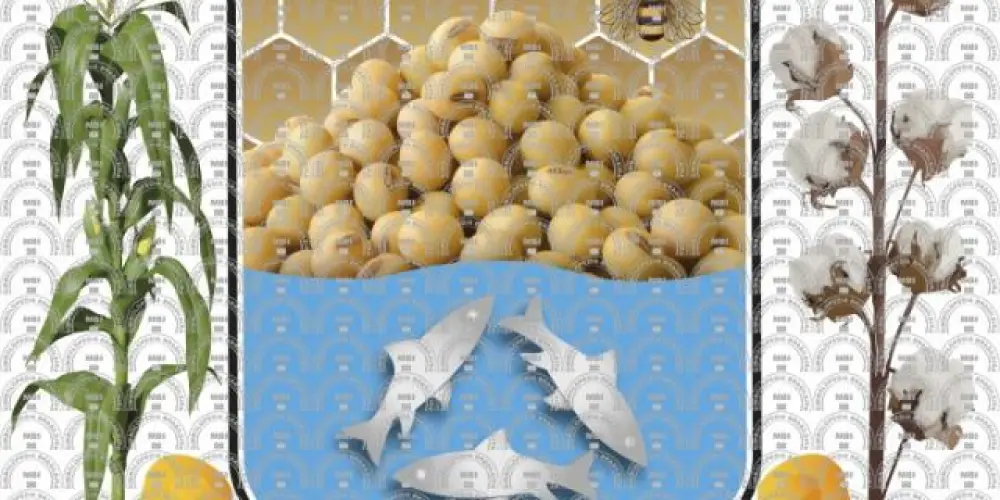 Imagem do grupo de WhatsApp Compra venda - Uruçuí-pi & região