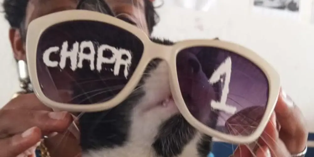 Imagem do grupo de WhatsApp Comunicaçao Markething