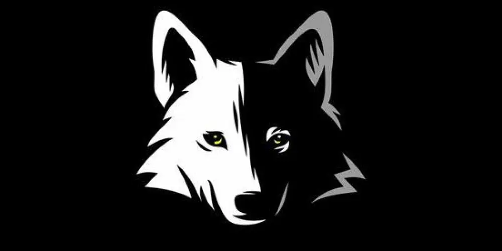 Imagem do grupo de WhatsApp 🔥COMUNIDADE ALCATEIA 🔥