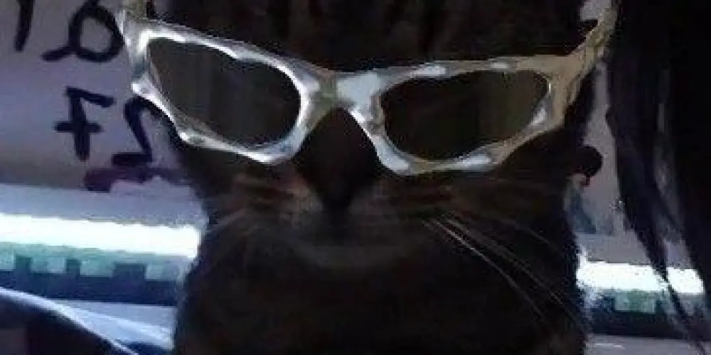 Imagem do grupo de WhatsApp Comunidade amigos da web❤️