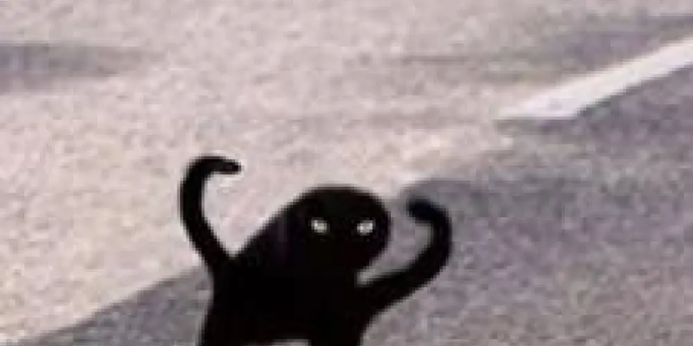 Imagem do grupo de WhatsApp Comunidade da demência