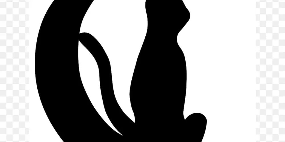 Imagem do grupo de WhatsApp Comunidade de Bruxaria de Alagoas