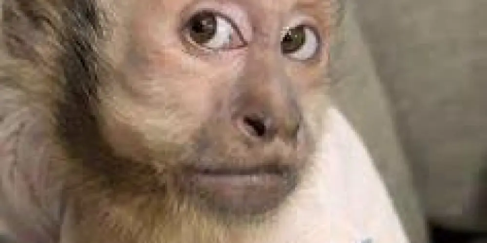 Imagem do grupo de WhatsApp Comunidade dos divo!❤