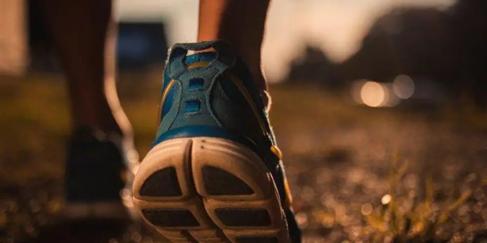 Imagem do grupo de WhatsApp Comunidade • EURO •