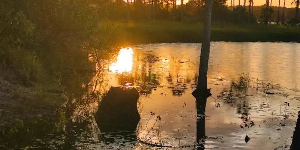 Imagem do grupo de WhatsApp Comunidades interligadas de Amor 🙌🏿