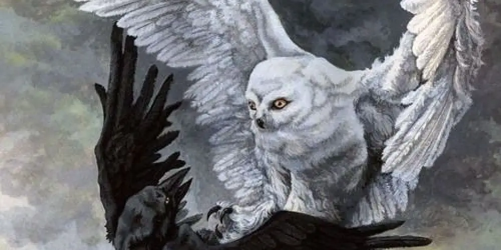 Imagem do grupo de WhatsApp Comunity X