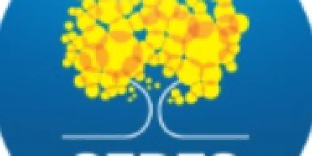Imagem do grupo de WhatsApp CONCURSO SEDES DF