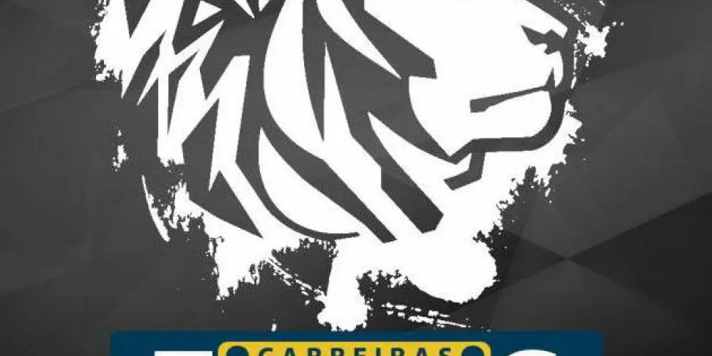 Imagem do grupo de WhatsApp Concursos Fiscais - SEFAZ, RF, ISS, AFT, etc