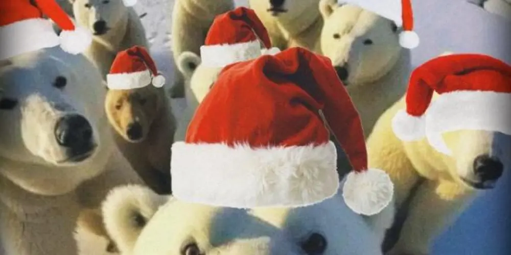 Imagem do grupo de WhatsApp Conectados 🌎🎄