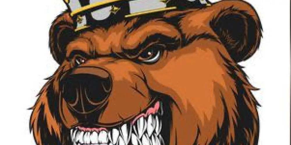 Imagem do grupo de WhatsApp Conexão amigável