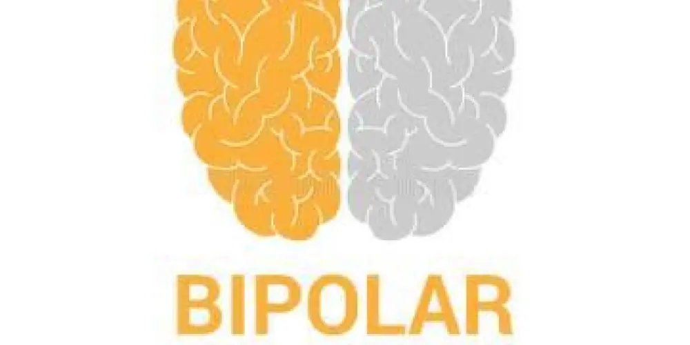 Imagem do grupo de WhatsApp Conexão Bipolar