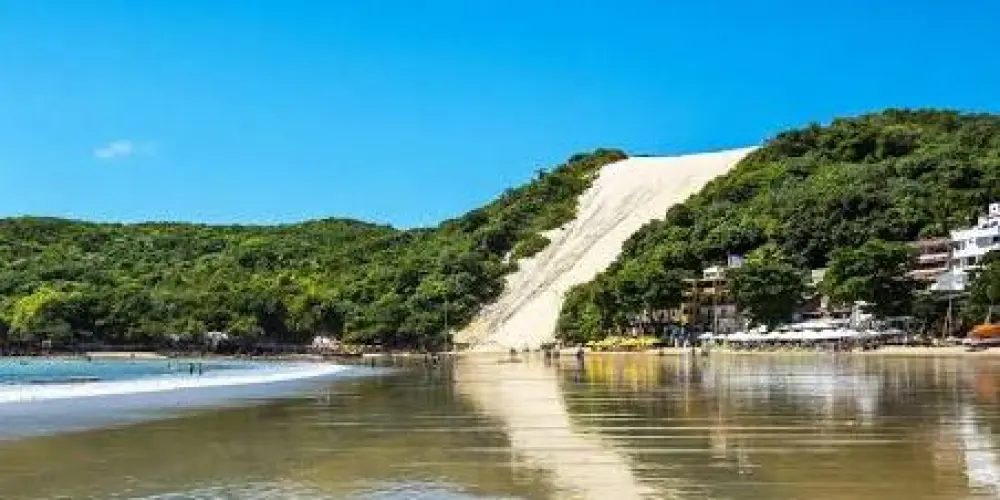 Imagem do grupo de WhatsApp Conexão Potiguar 🌴