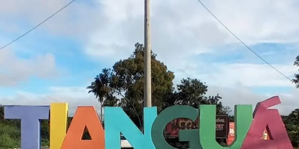 Imagem do grupo de WhatsApp Conexão Tianguá