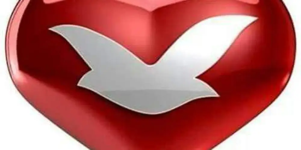 Imagem do grupo de WhatsApp 🌐 Conexão Universal