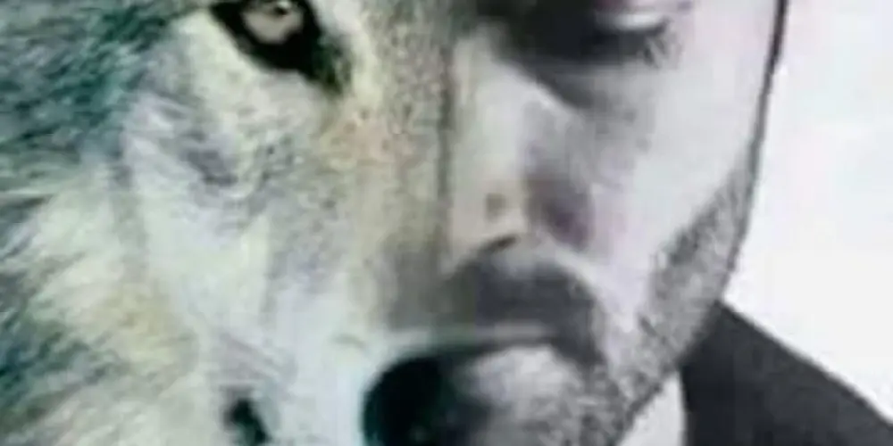 Imagem do grupo de WhatsApp Conexión Alfa 🐺🗿