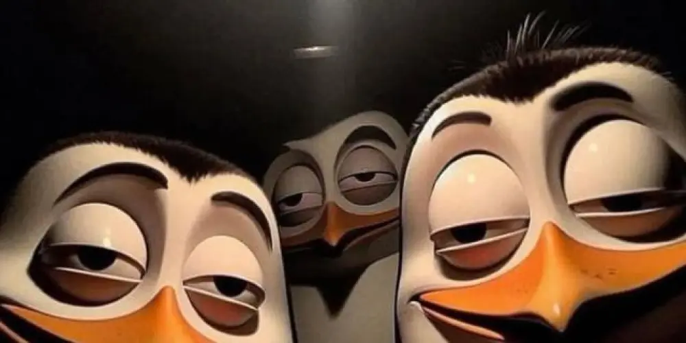 Imagem do grupo de WhatsApp Confessionário 🔥