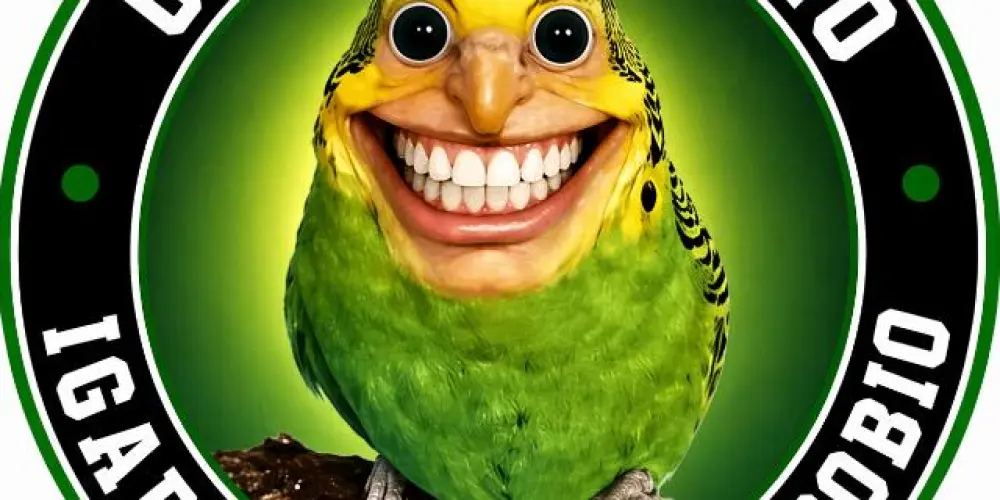 Imagem do grupo de WhatsApp Congregação Igarapavense do Assobio 🦜