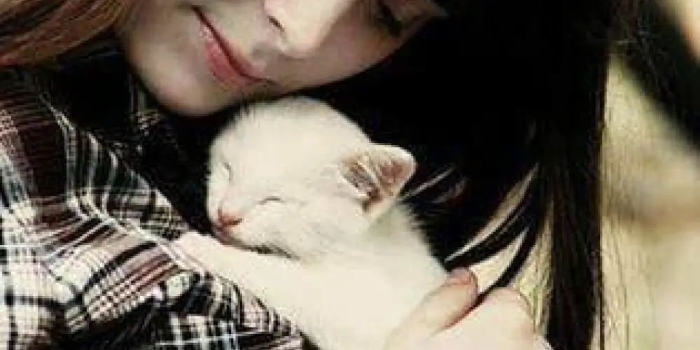 Imagem do grupo de WhatsApp Conhecer e flertar