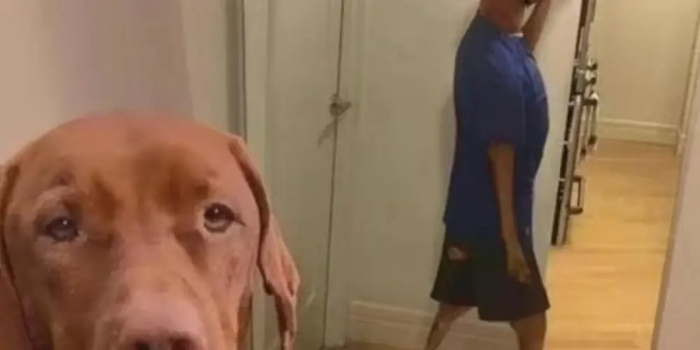 Imagem do grupo de WhatsApp ∞CØNΞXÅØ™