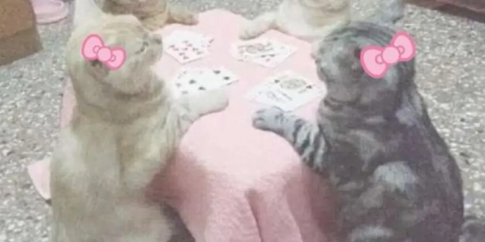 Imagem do grupo de WhatsApp connection club 🪐