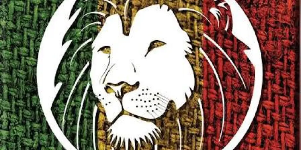 Imagem do grupo de WhatsApp Consciência Reggae 🪨☀️