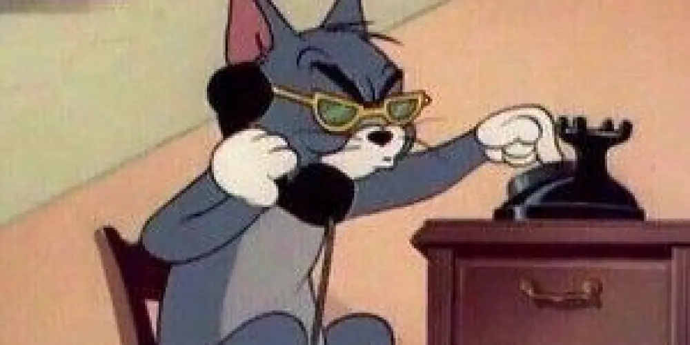 Imagem do grupo de WhatsApp 🥂 CONSELHO DOS SEM NOÇÃO 🤣