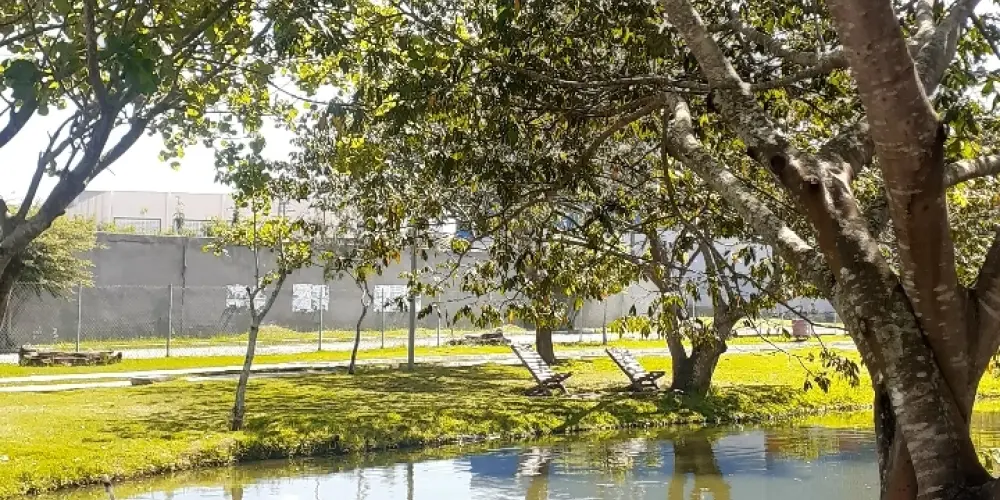 Imagem do grupo de WhatsApp Contato com a Natureza🌺🐞🌿🌺🦋