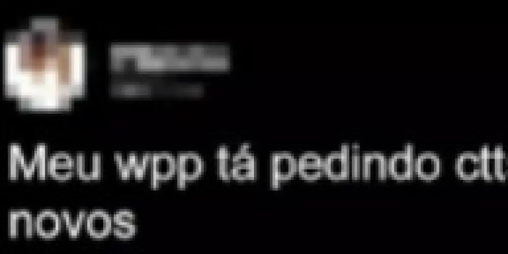 Imagem do grupo de WhatsApp Contatos Novos e Amizades