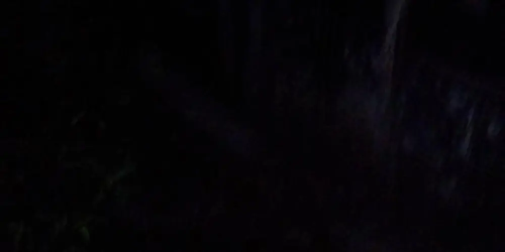 Imagem do grupo de WhatsApp Conversa 24 por 48h👀🗣️