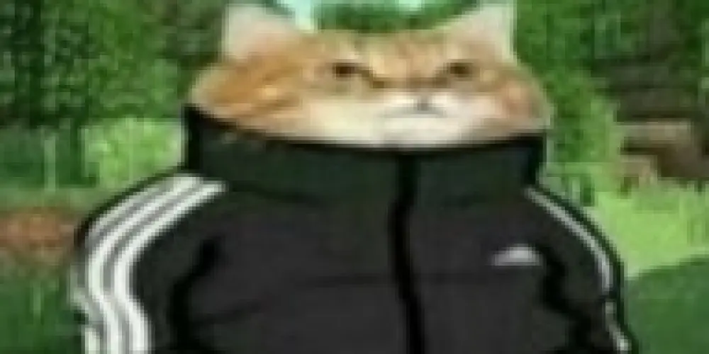 Imagem do grupo de WhatsApp conversa das boas