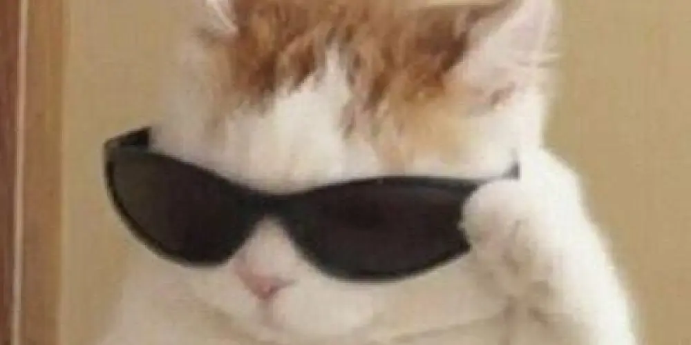 Imagem do grupo de WhatsApp Conversa de Doidos