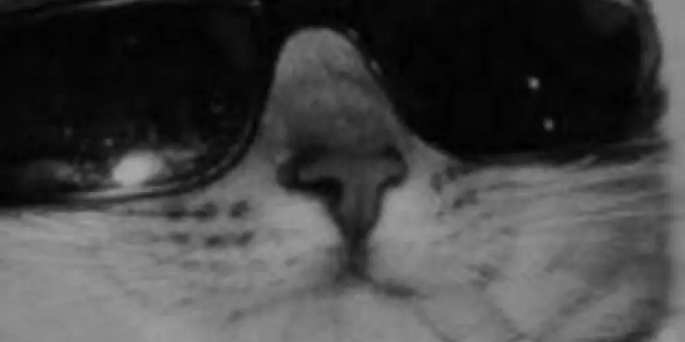 Imagem do grupo de WhatsApp CONVERSAS 24 HORAS 🤪