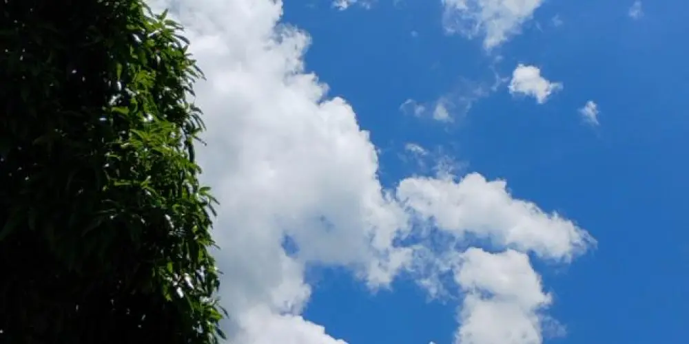 Imagem do grupo de WhatsApp CONVERSAS 24H