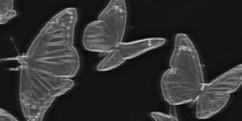 Imagem do grupo de WhatsApp Conversas 🦋🤡