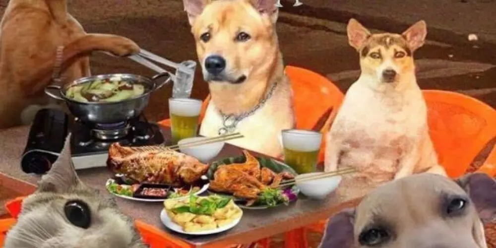 Imagem do grupo de WhatsApp Conversas & Amizades