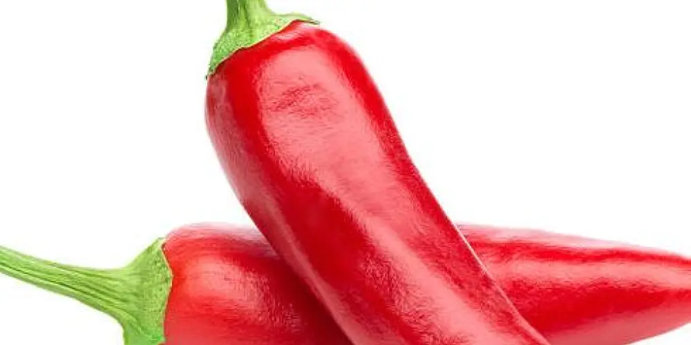 Imagem do grupo de WhatsApp Conversas de paquera😉😉